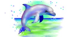 DebbyLee の イルカ の絵