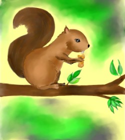 Рисунок на тему «Белка» — автор: Arya Kukku