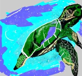 Leo🐾 の ウミガメ の絵