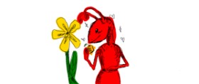 Faery の アリ の絵