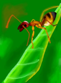 Moby  の アリ の絵