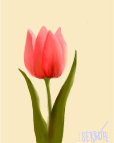 Serruh の チューリップ の絵