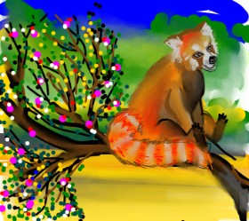 Naaz の レッサーパンダ の絵