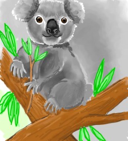 GreyhoundMama の コアラ の絵