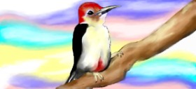 Debidolittle の キツツキ の絵