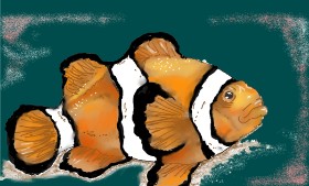 Рисунок на тему «Clownfish» — автор: Chipakey