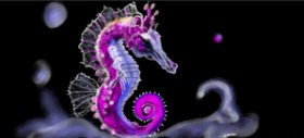 Drawing of Seahorse by Çhåching