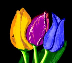 Drawing of Tulips by Geo-Pebbles
