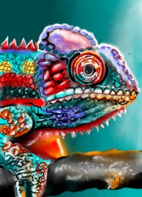 Drawing of Lizard by ⋆su⋆vinci彡