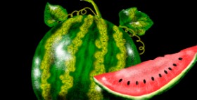 Drawing of Watermelon by Eclat de Lune