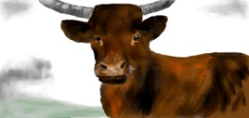 Drawing of Bull by Effulgent Emerald