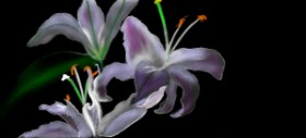 Çhåching の ユリの花 の絵