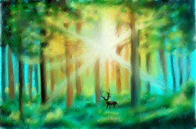 Šuma - autor: Wizard