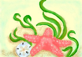 Debidolittle の ヒトデ の絵