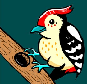 J の キツツキ の絵
