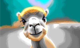 Herbert の ラクダ の絵