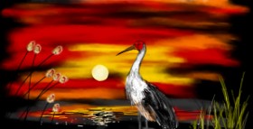 Drawing of Stork by Eclat de Lune