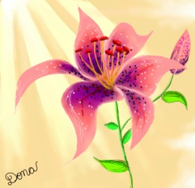 Dona の ユリの花 の絵