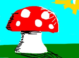 Gljiva - autor: nova