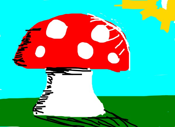 Pilz-Zeichnung von nova