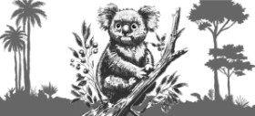 Drawing of Koala by Annie