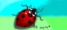 Debidolittle の てんとう虫 の絵