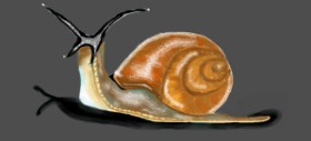 Debidolittle の カタツムリ の絵