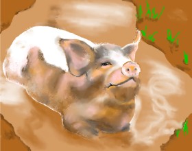 Cec の 豚 の絵