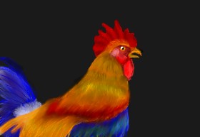 Colliope の 雄鶏 の絵