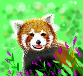 mr yj の レッサーパンダ の絵