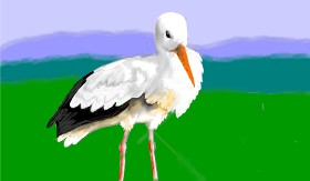SAM AKA MARGARET 🙄 の コウノトリ の絵