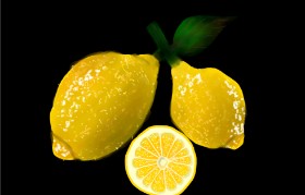 Drawing of Lemon by Lahari