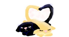 cookie karr の 猫 の絵
