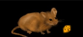 Maus-Zeichnung von Myll 