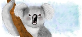 Debidolittle の コアラ の絵