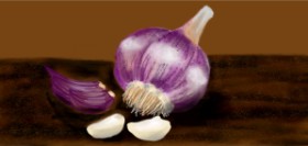 Рисунок на тему «Чеснок» — автор: Temüjin