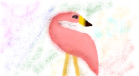 cookie karr の フラミンゴ の絵