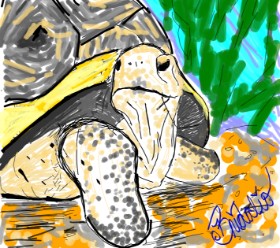 BRIDALIO🍌 の カメ の絵