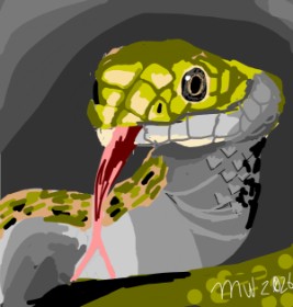 13 year old artist の 蛇 の絵
