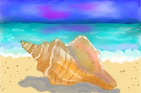 Debidolittle の 貝殻 の絵