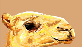 Deva - autor: Sam