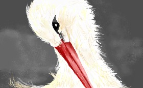 Ēgeria の コウノトリ の絵