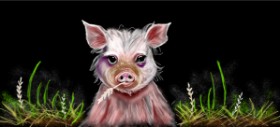 Drawing of Pig by Çhåching