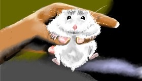 Drawing of Hamster by SAM AKA MARGARET 🙄