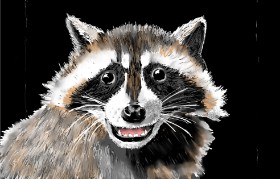 SAM AKA MARGARET 🙄 の アライグマ の絵