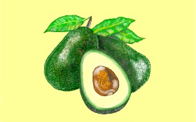GJP の アボカド の絵