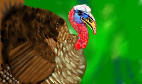 Tim の 七面鳥 の絵