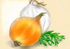 Debidolittle の 玉ねぎ の絵