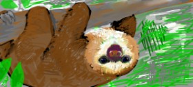 Sample text の ナマケモノ の絵