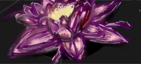 MAMAMAMAMAMAMMAMA の スイレン の絵